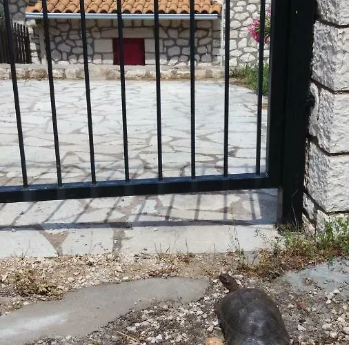 Harmony And Horizon Βίλα Αθάνι